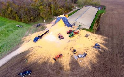 Which Types of Repairs Prevent Silo Collapse?