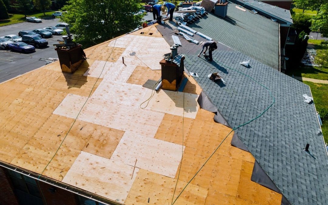Roof Repair vs. Roof Replacement for Commercial & Agricultural Buildings