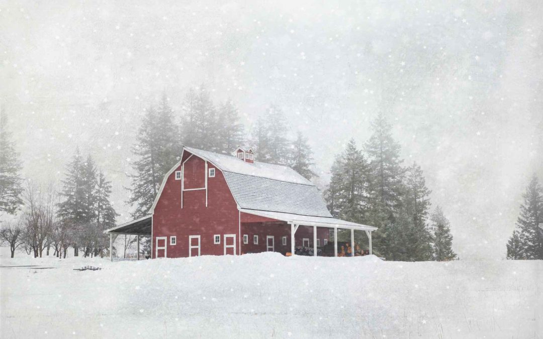 Navigating North Dakota’s Harsh Winters: Essential Insulation for Agricultural Buildings