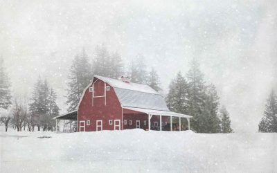 Navigating North Dakota’s Harsh Winters: Essential Insulation for Agricultural Buildings